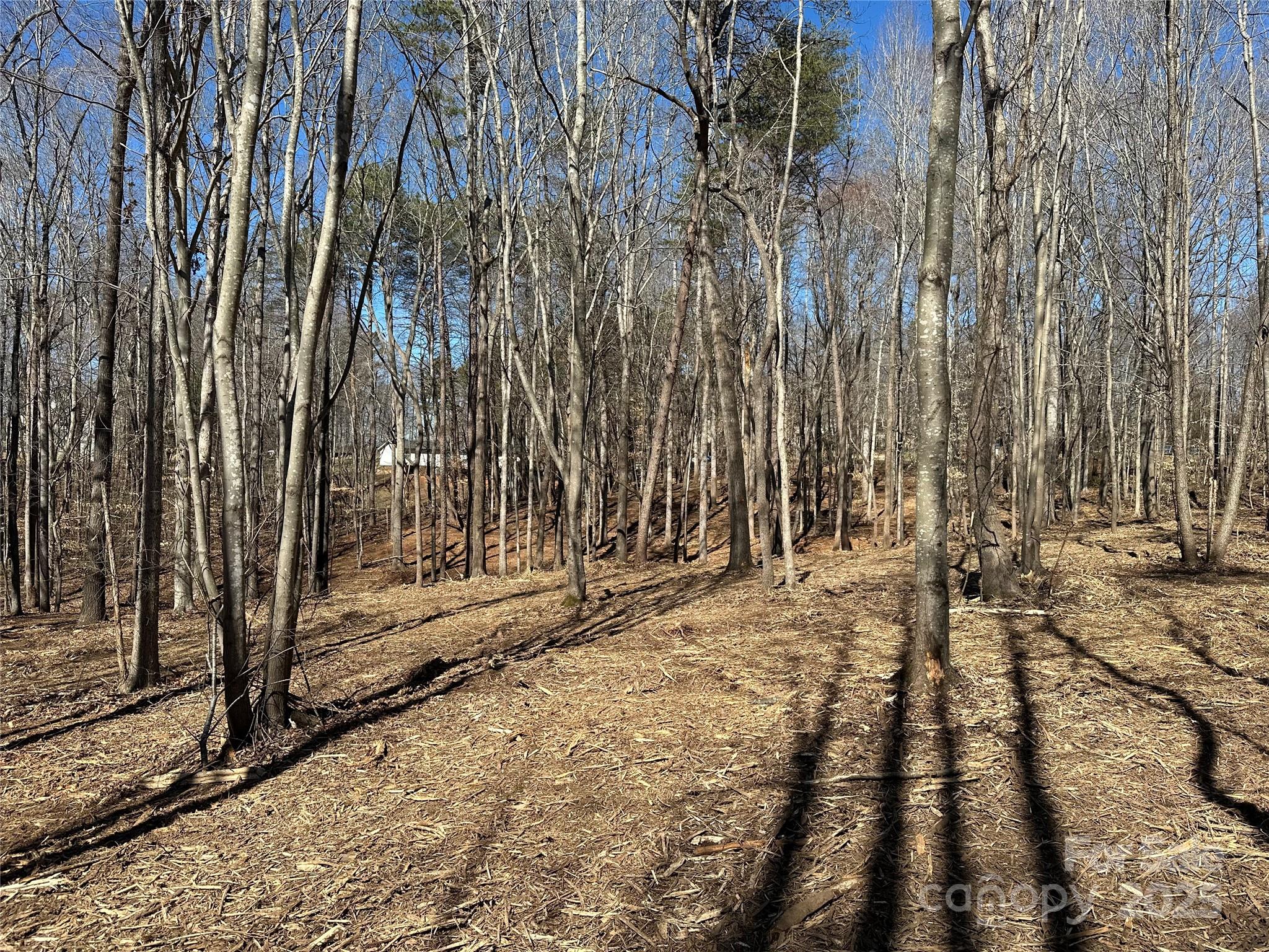 0 Lytton Farm Road Troutman, NC 28166 - Photo 12 of 20 a view of yard