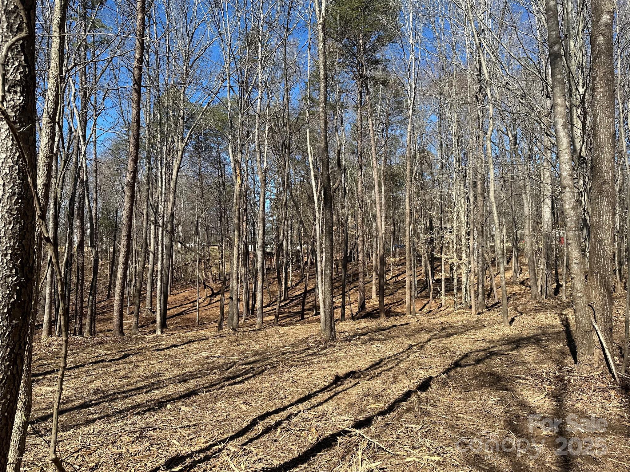 0 Lytton Farm Road Troutman, NC 28166 - Photo 13 of 20 a view of a pathway of a yard
