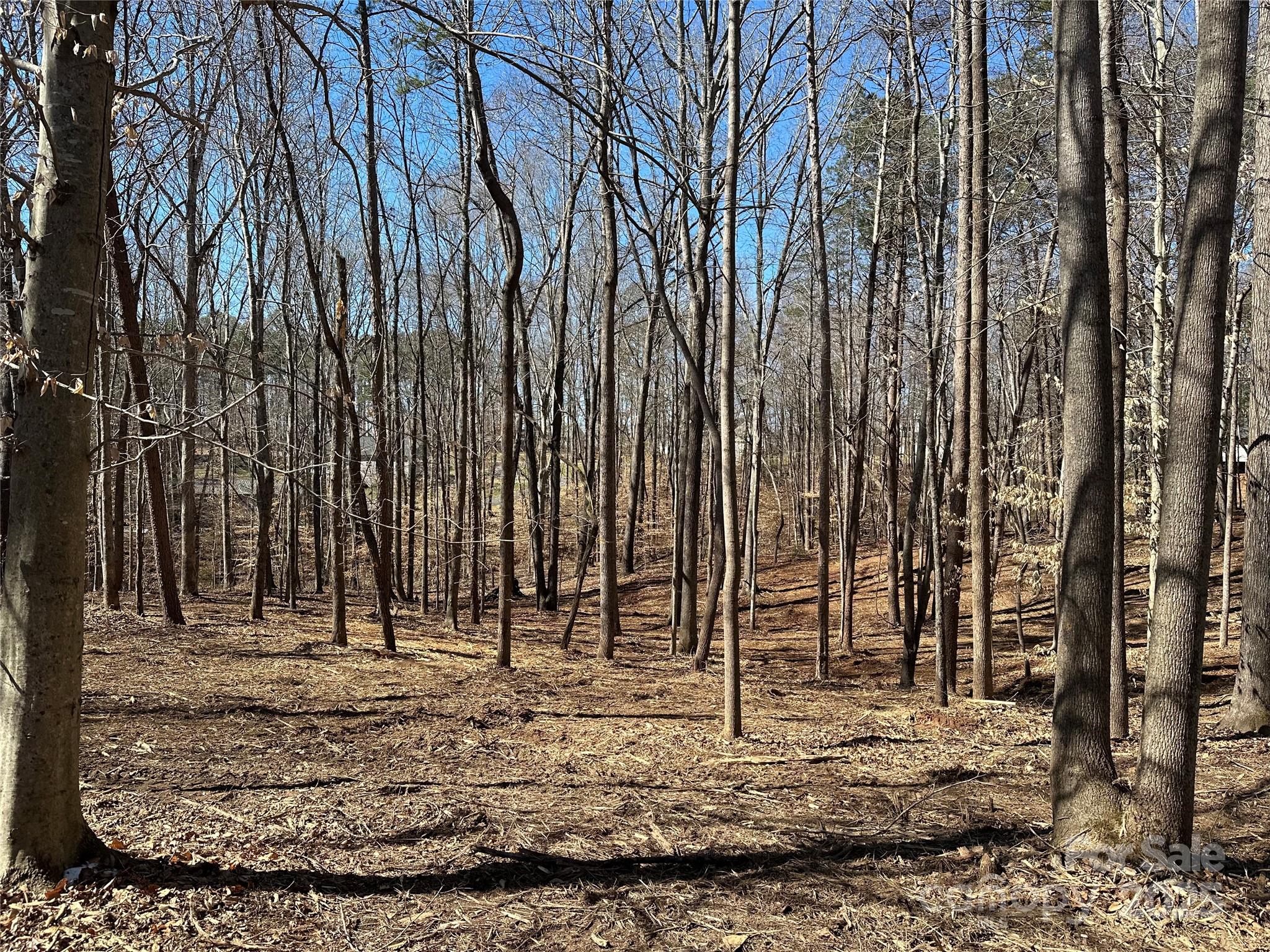 0 Lytton Farm Road Troutman, NC 28166 - Photo 14 of 20 a view of a backyard with trees