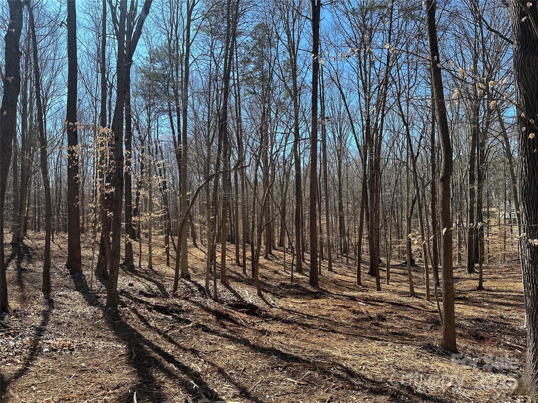 0 Lytton Farm Road Troutman, NC 28166 - Photo 15 of 20 a view of a backyard