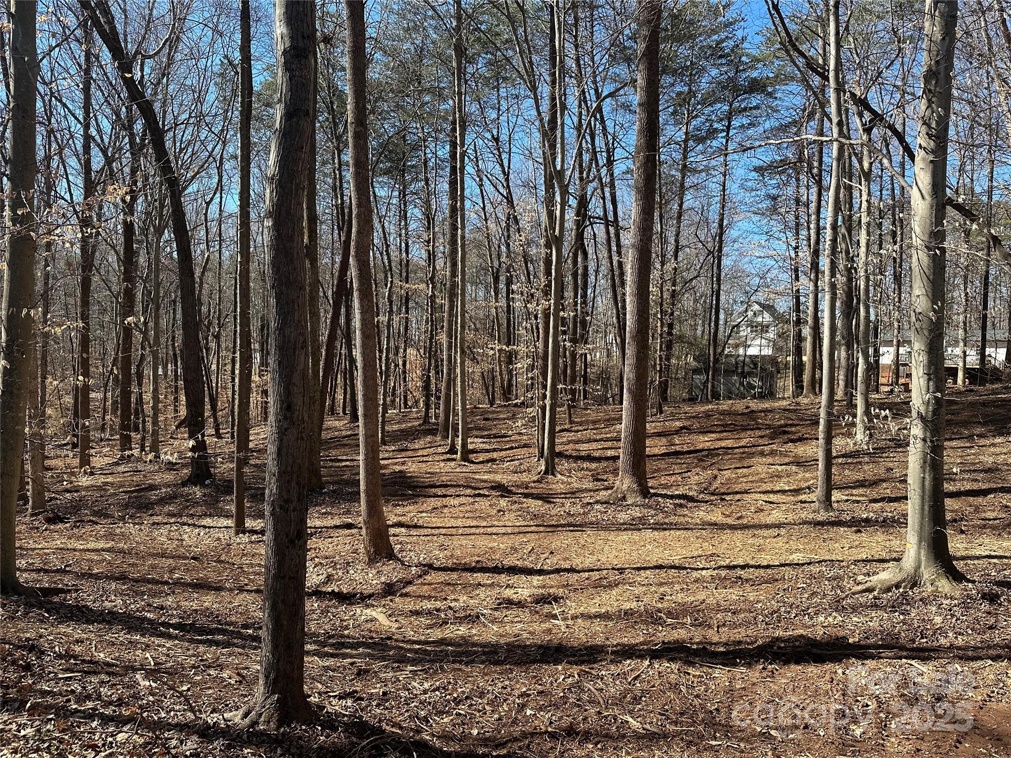 0 Lytton Farm Road Troutman, NC 28166 - Photo 16 of 20