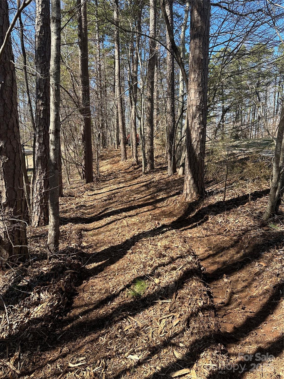 0 Lytton Farm Road Troutman, NC 28166 - Photo 19 of 20 a view of a yard with wooden fence