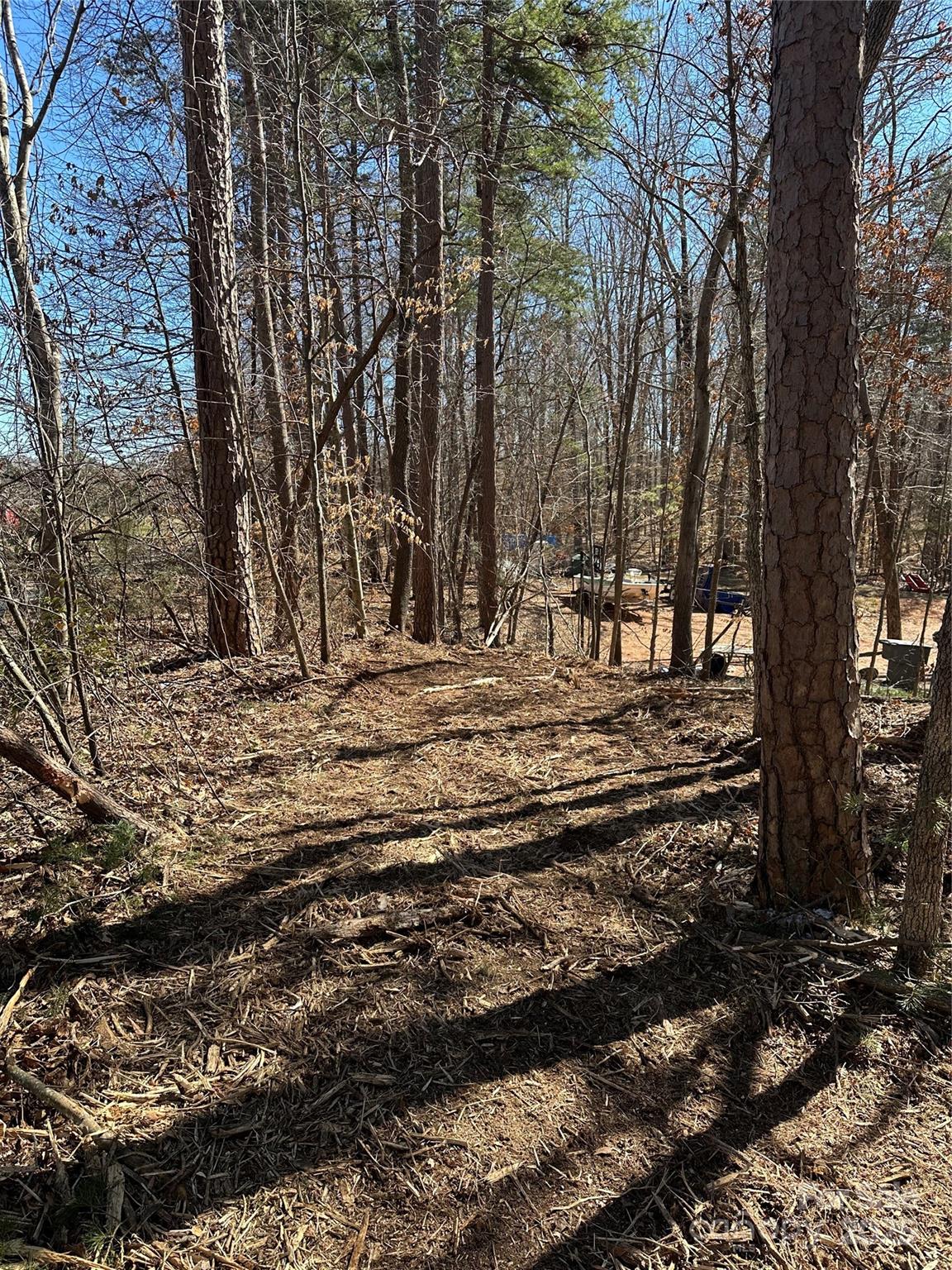 0 Lytton Farm Road Troutman, NC 28166 - Photo 20 of 20 a view of a backyard of the house