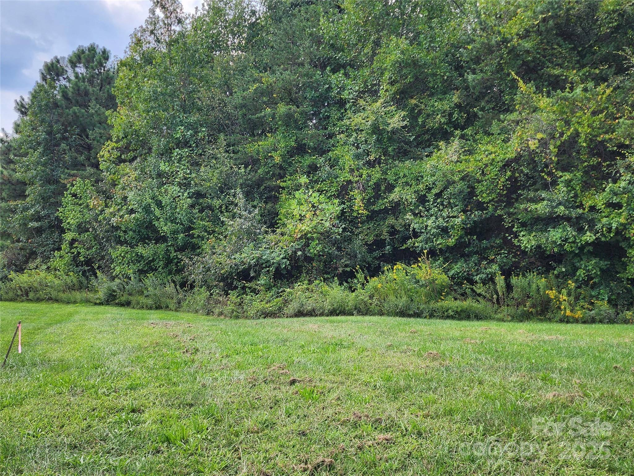0 Lytton Farm Road Troutman, NC 28166 - Photo 3 of 20 a view of a garden