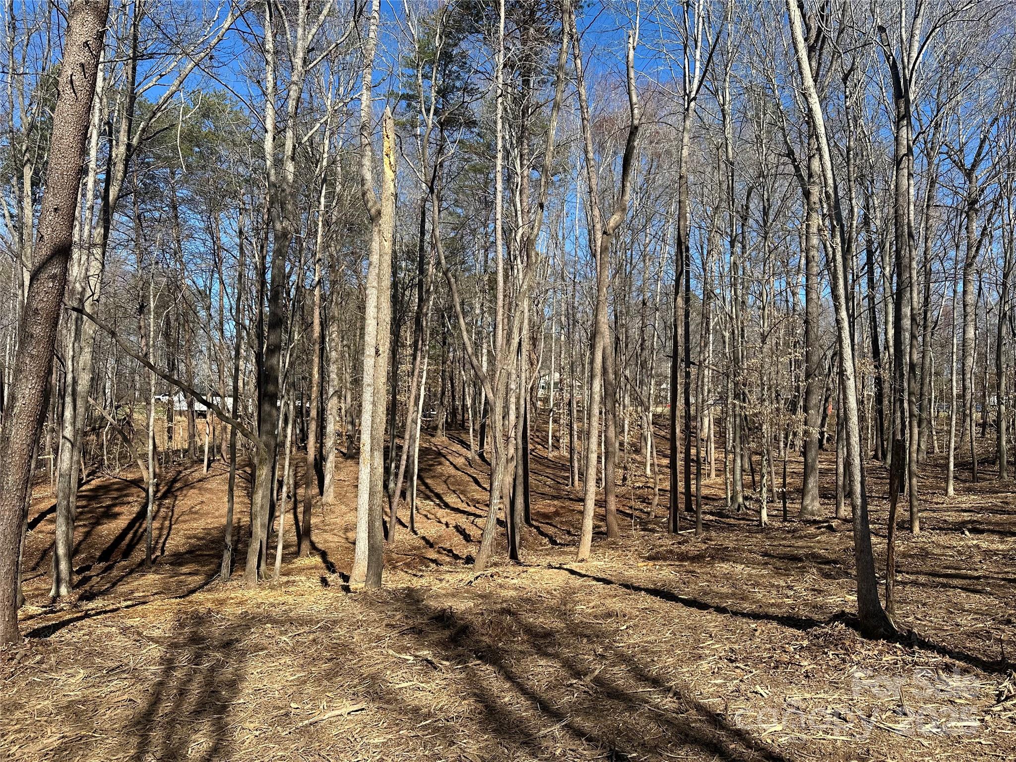 0 Lytton Farm Road Troutman, NC 28166 - Photo 5 of 20 a view of a outdoor space area with tall trees