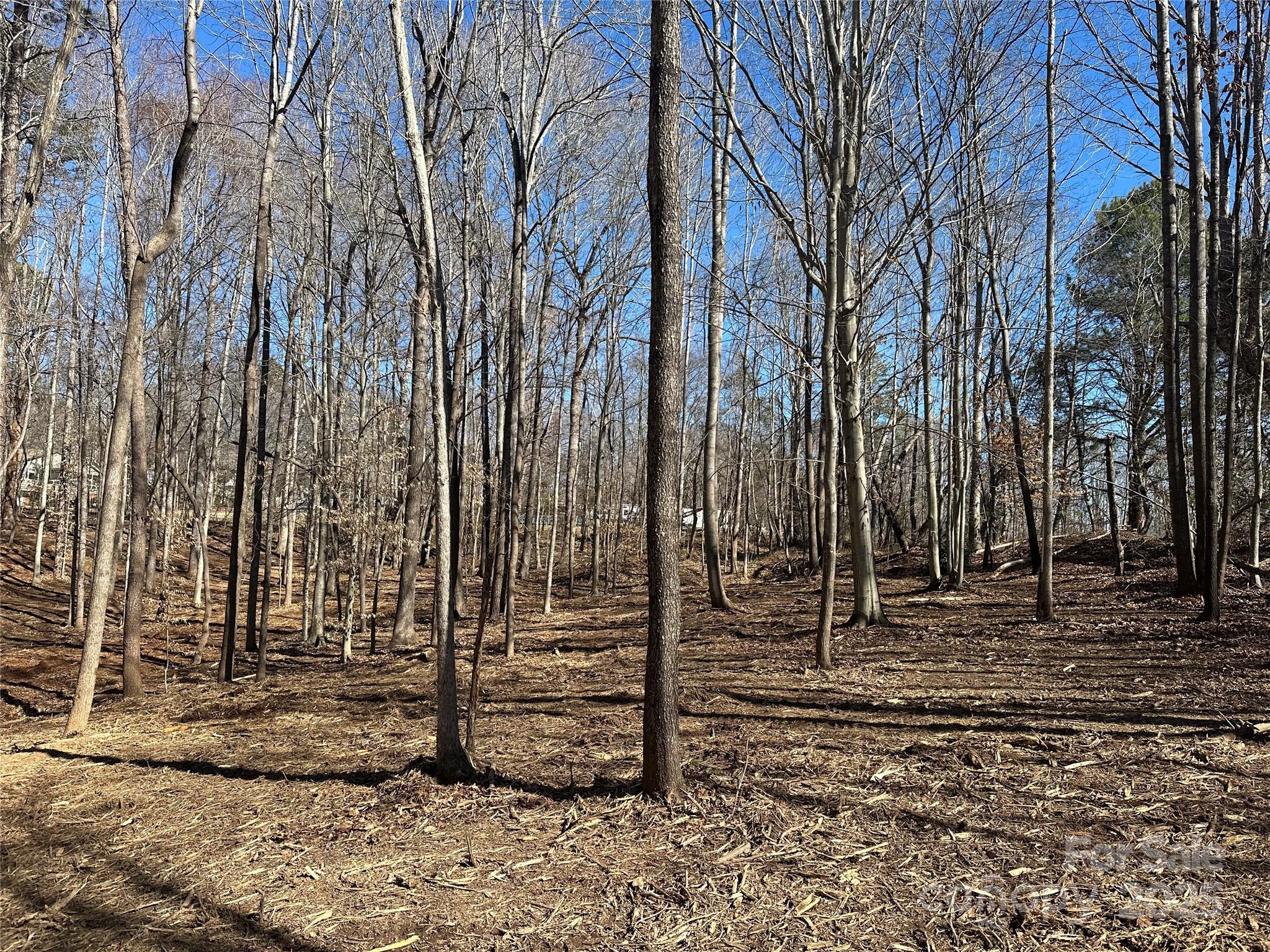 0 Lytton Farm Road Troutman, NC 28166 - Photo 6 of 20 a view of a door of the house