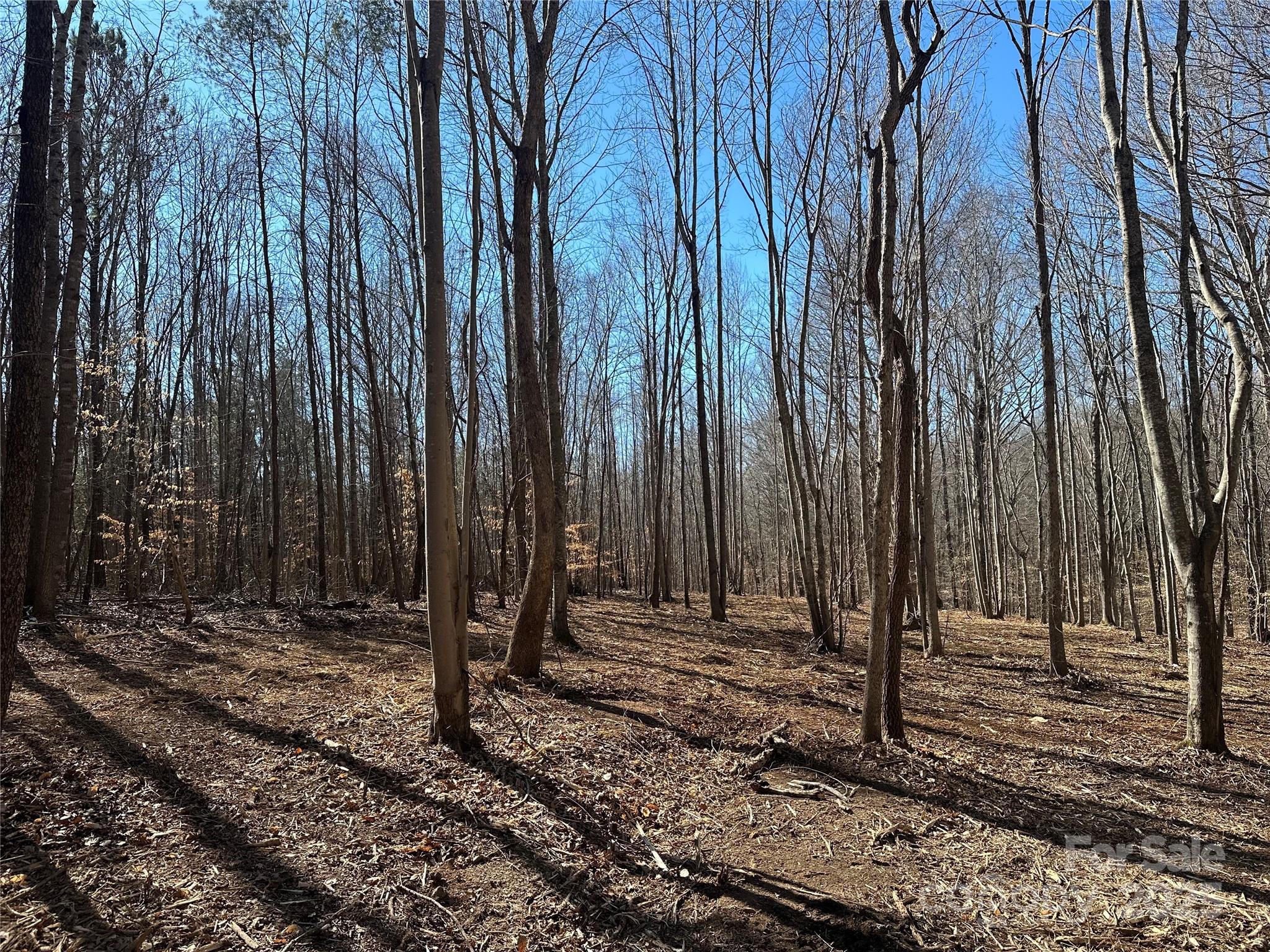 0 Lytton Farm Road Troutman, NC 28166 - Photo 7 of 20 a view of a backyard with trees