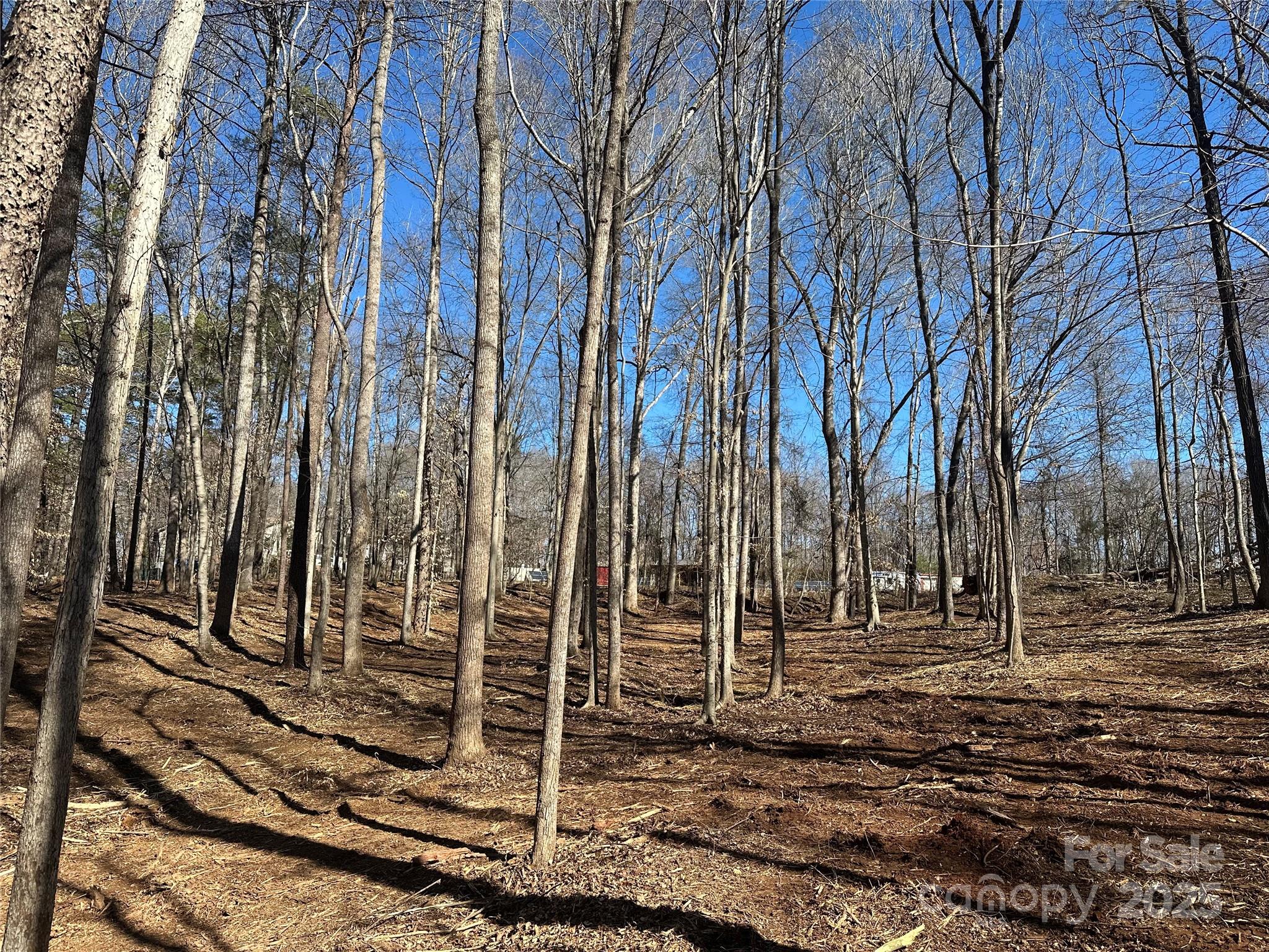 0 Lytton Farm Road Troutman, NC 28166 - Photo 9 of 20 a view of a park with trees