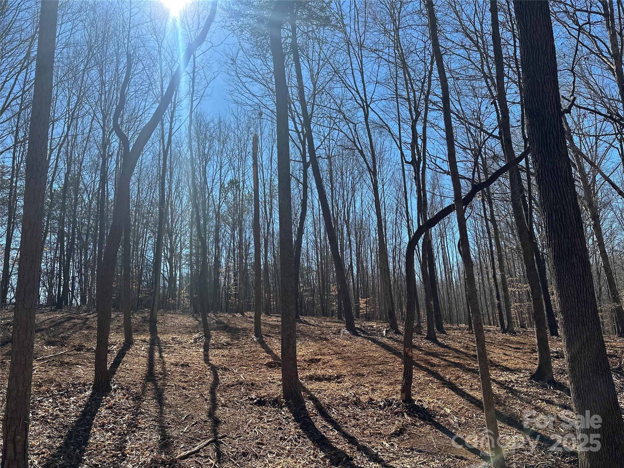 0 Lytton Farm Road Troutman, NC 28166 - Photo 10 of 20 a view of a backyard of the house