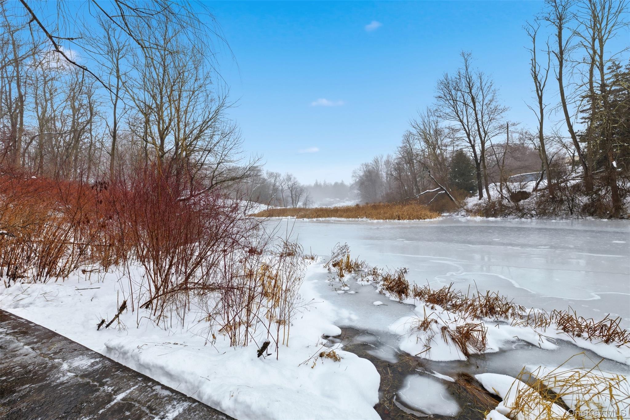 63 Parksville Road Pleasant Valley, NY 12569 - Photo 14 of 20 a view of lake view with covered with snow
