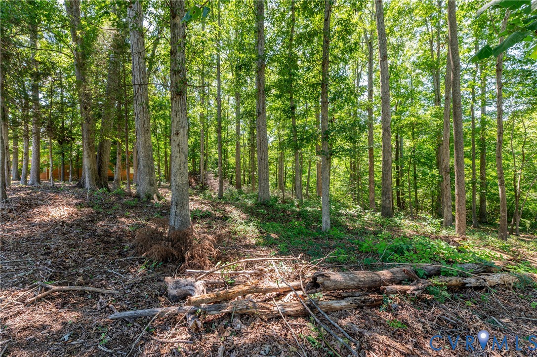 14505 Riverside Drive Ashland, VA 23005 - Photo 15 of 18 Gallery Image 15