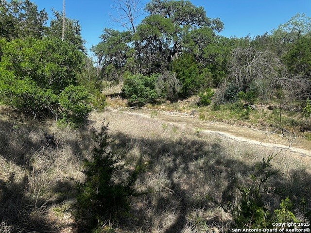698 North Khan Drive Rio Frio, TX 78879 - Photo 14 of 23
