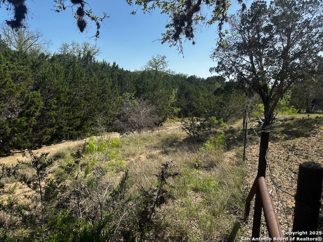 698 North Khan Drive Rio Frio, TX 78879 - Photo 15 of 23