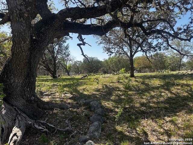 698 North Khan Drive Rio Frio, TX 78879 - Photo 16 of 23
