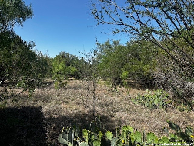 698 North Khan Drive Rio Frio, TX 78879 - Photo 18 of 23