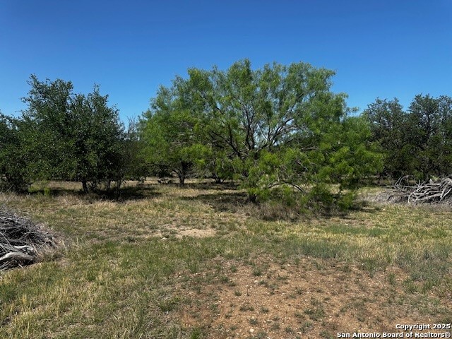 698 North Khan Drive Rio Frio, TX 78879 - Photo 19 of 23