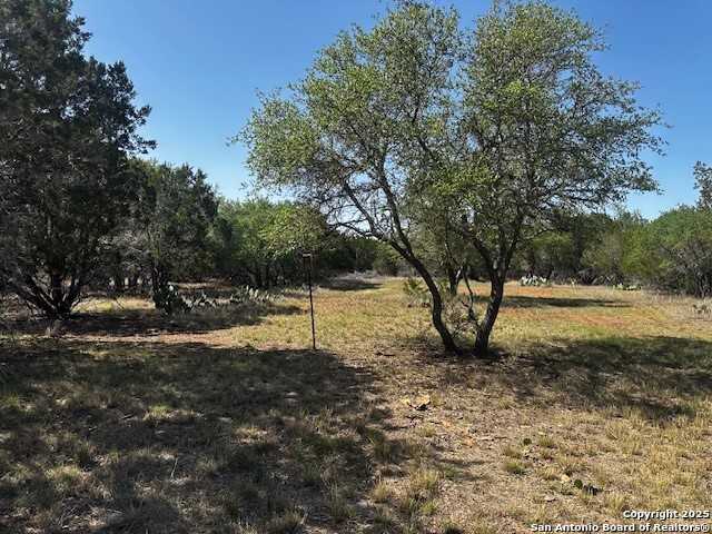 698 North Khan Drive Rio Frio, TX 78879 - Photo 20 of 23