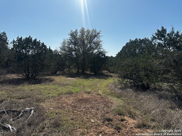 698 North Khan Drive Rio Frio, TX 78879 - Photo 21 of 23