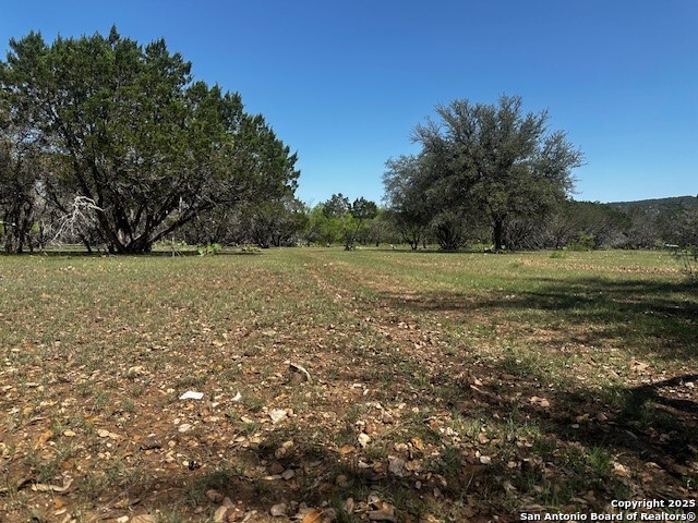 698 North Khan Drive Rio Frio, TX 78879 - Photo 4 of 23