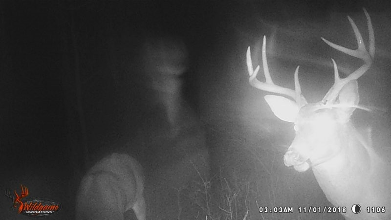 1 Morning Glory Road Cynthiana, KY 41031 - Photo 1 of 25 Gallery Image 1