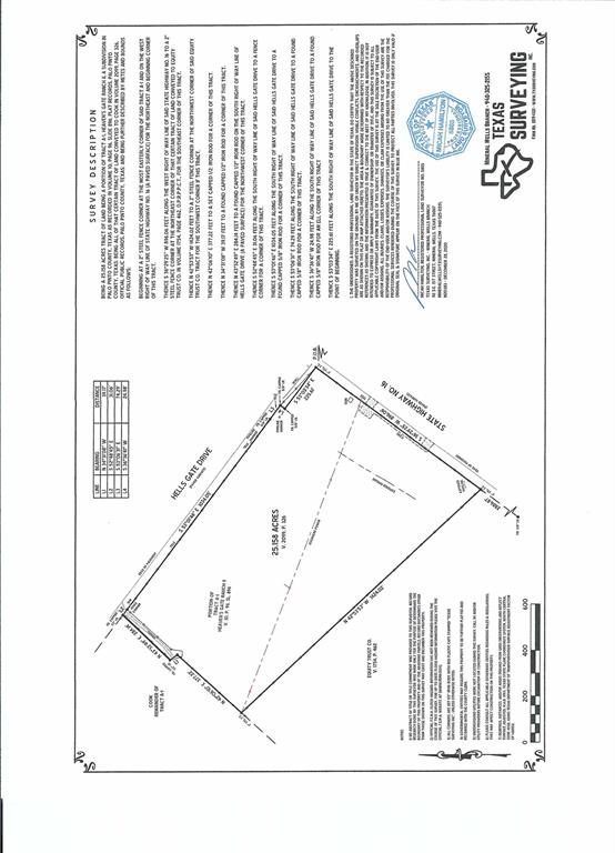 2423 Highway 16 Strawn, TX 76475 - Photo 8 of 8