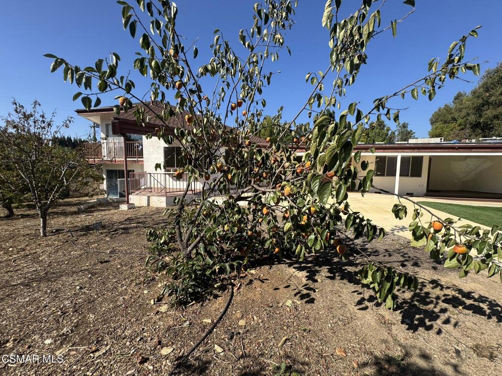 381 Laguna Terrace Simi Valley, CA 93065 - Photo 45 of 48 a front view of a house with a yard