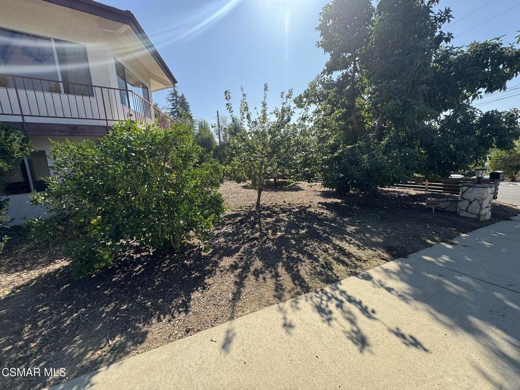381 Laguna Terrace Simi Valley, CA 93065 - Photo 47 of 48 a view of a backyard with plants and bench
