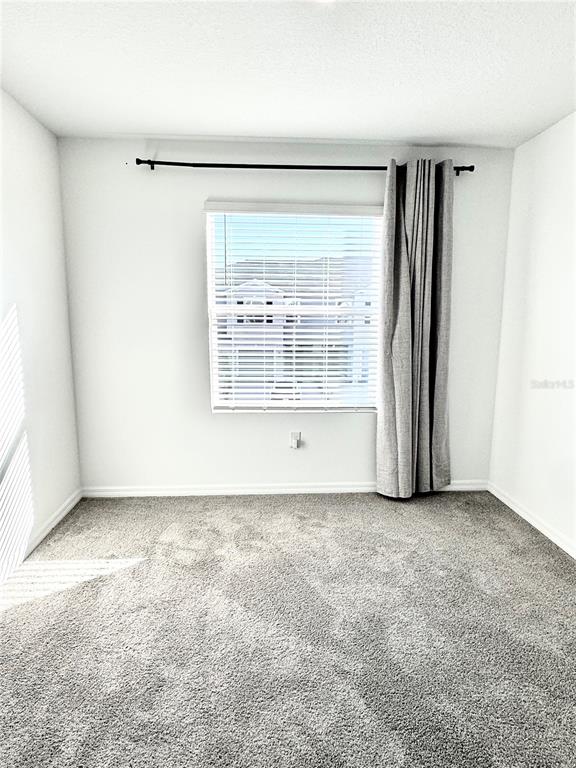 445 Mangrove Shade Circle Apollo Beach, FL 33572 - Photo 32 of 33