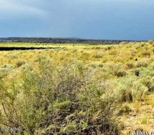 $3,995 | Tbd Tbd 207-53-006 Bell Brand Ranches, Unit 6, Chambers, AZ 86502