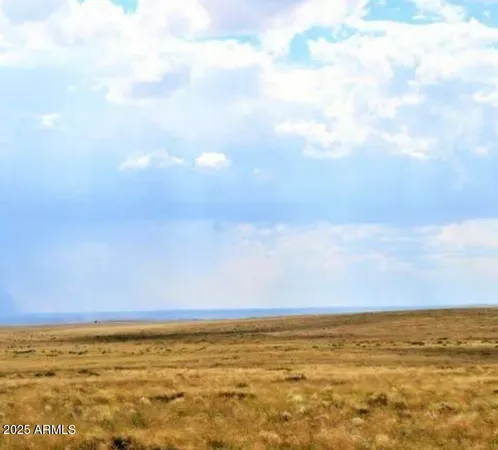$3,995 | Tbd Tbd 207-53-006 Bell Brand Ranches, Unit 6, Chambers, AZ 86502
