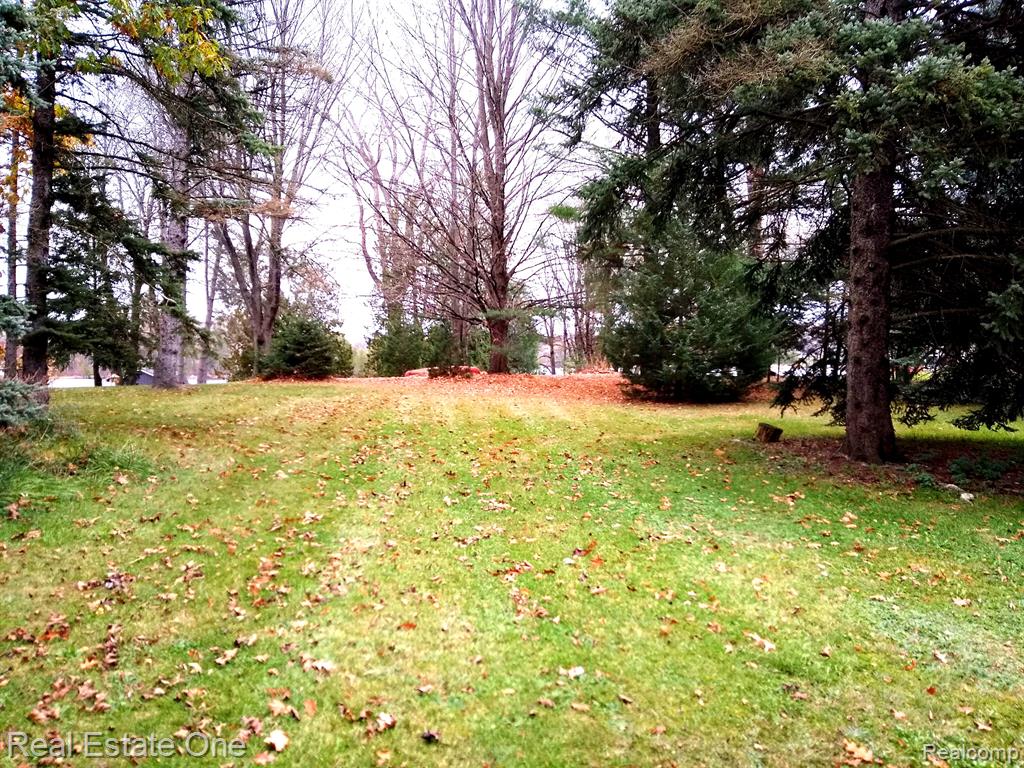 0 Sashabaw Road Ortonville, MI 48462 - Photo 6 of 7