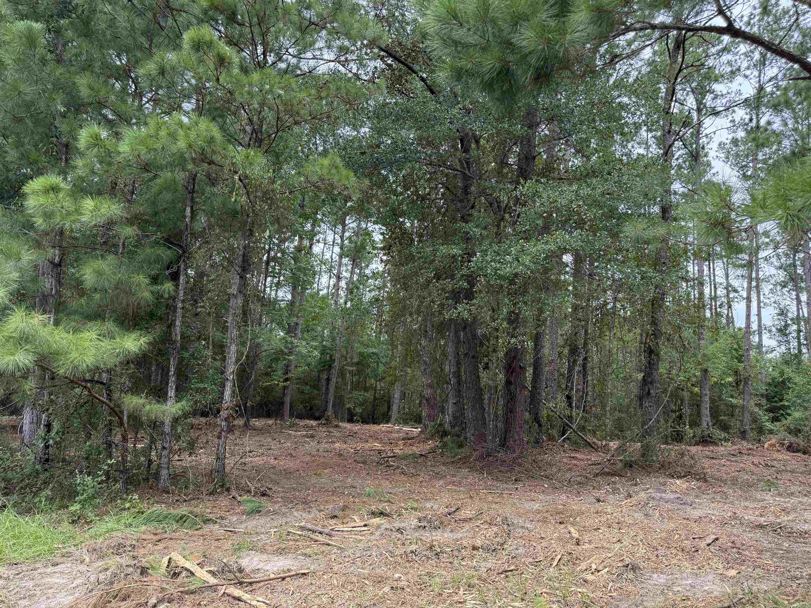 0 East Lake Road Quincy, FL 32351 - Photo 11 of 12