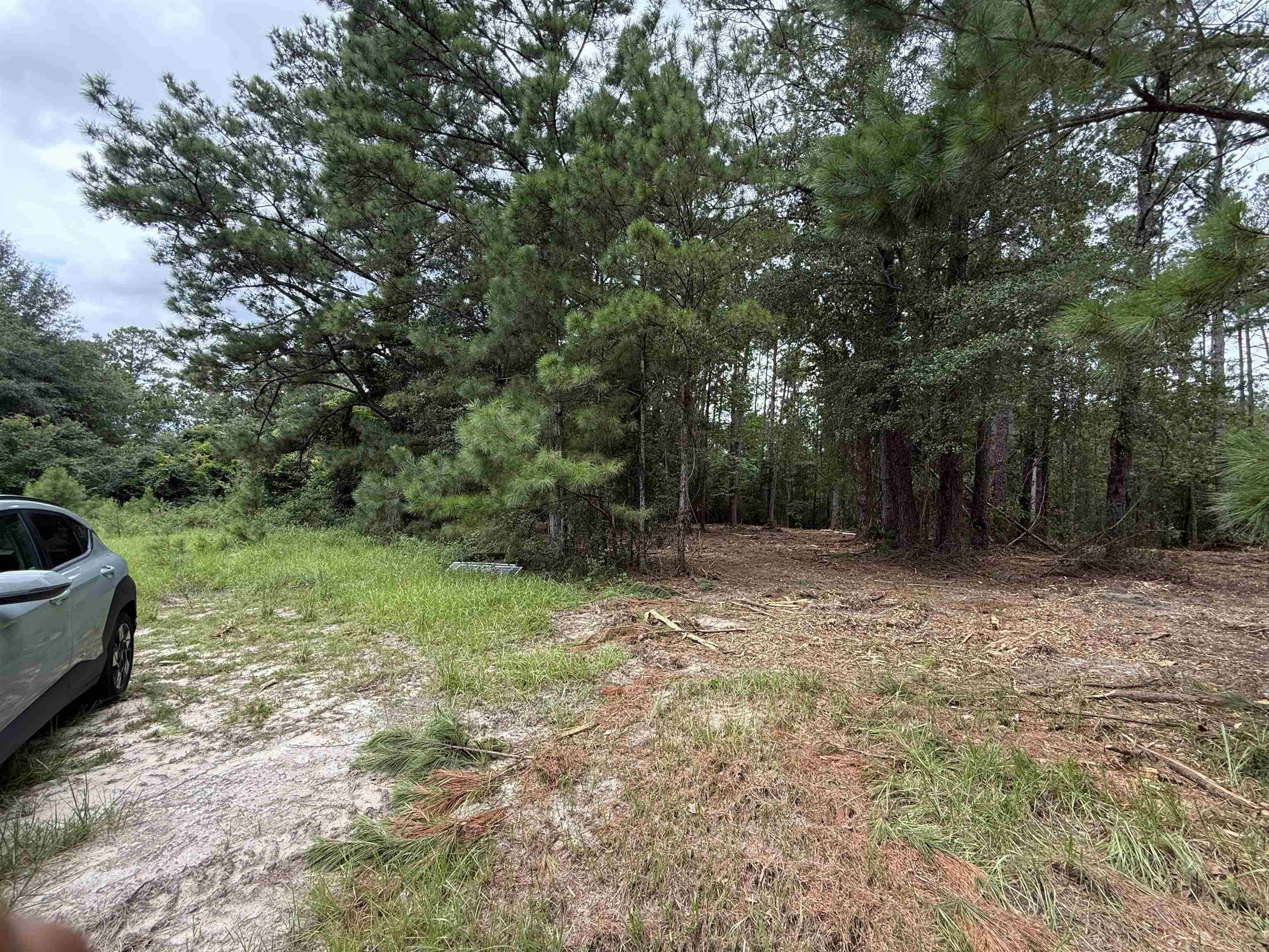 0 East Lake Road Quincy, FL 32351 - Photo 12 of 12