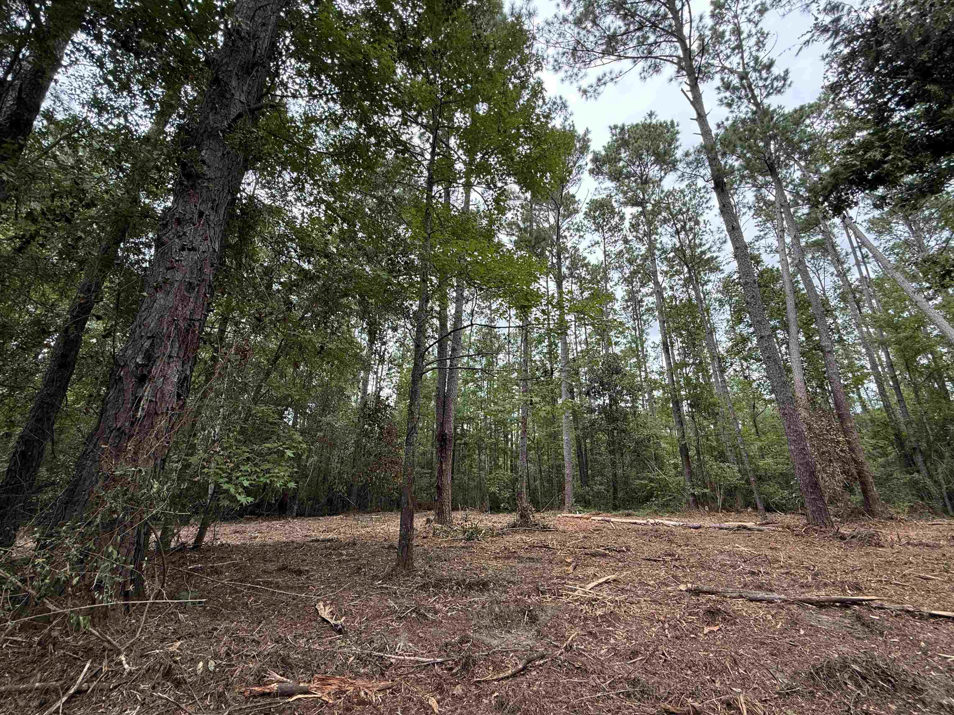 0 East Lake Road Quincy, FL 32351 - Photo 2 of 12