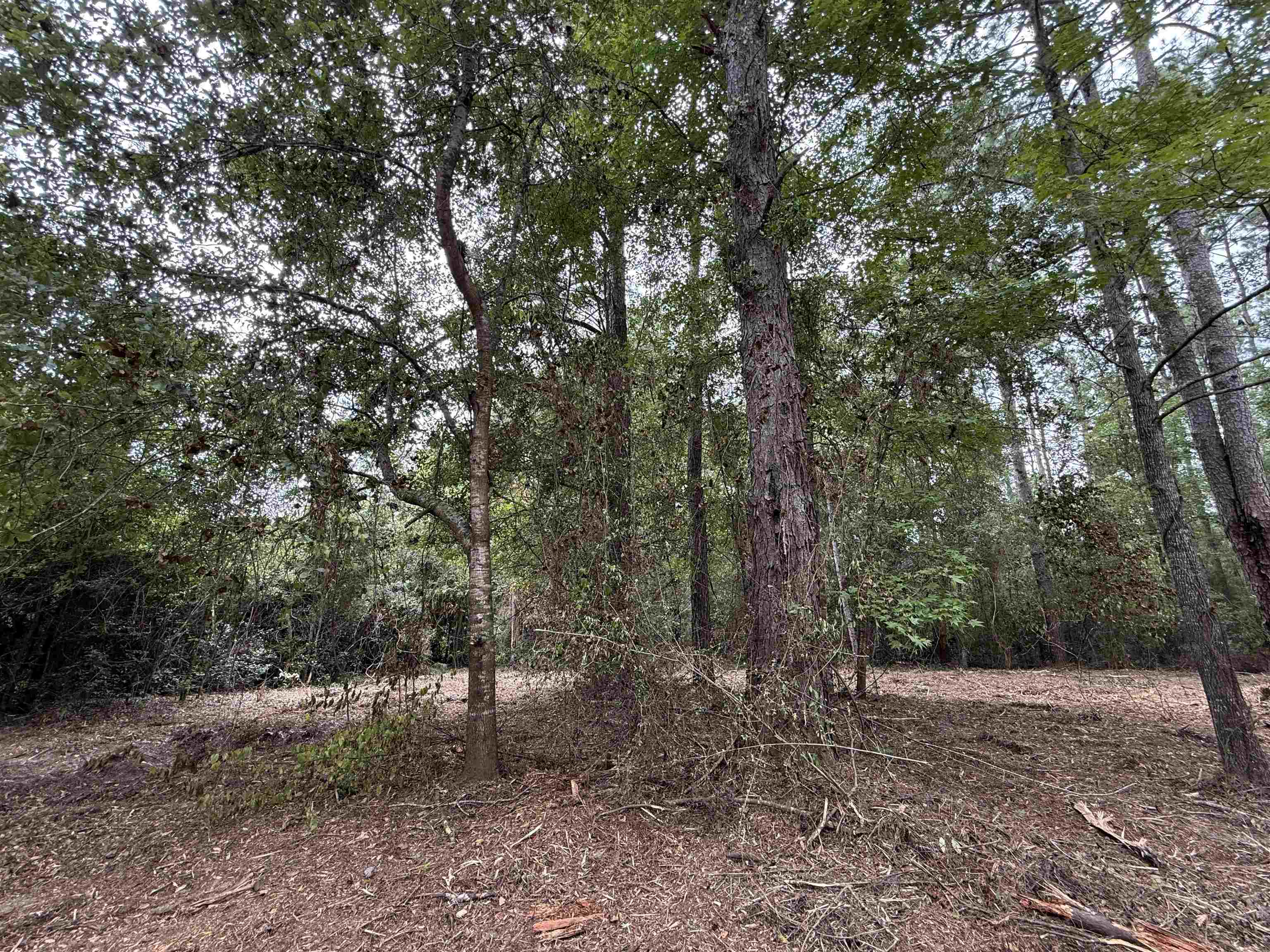 0 East Lake Road Quincy, FL 32351 - Photo 3 of 12