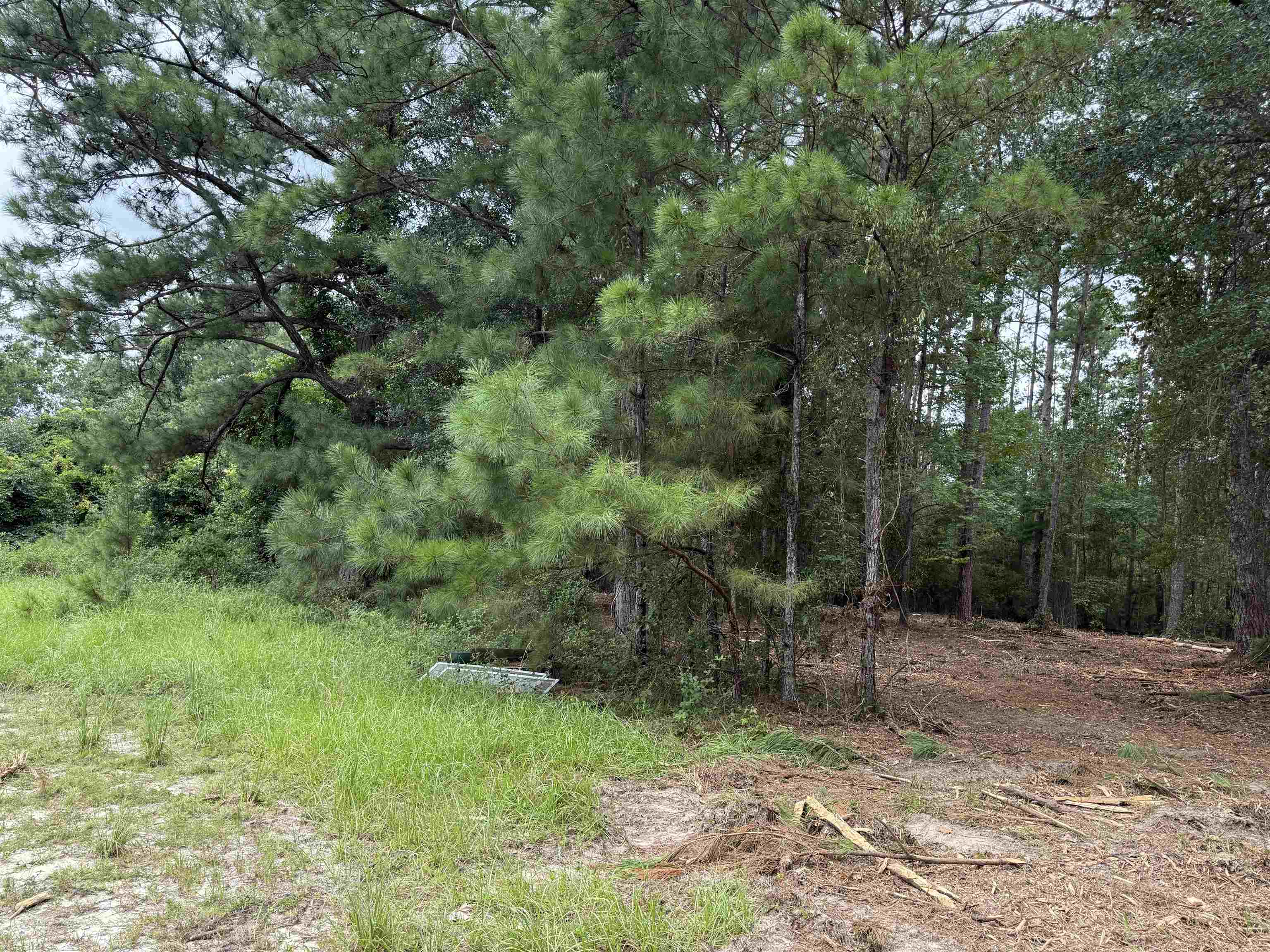 0 East Lake Road Quincy, FL 32351 - Photo 4 of 12