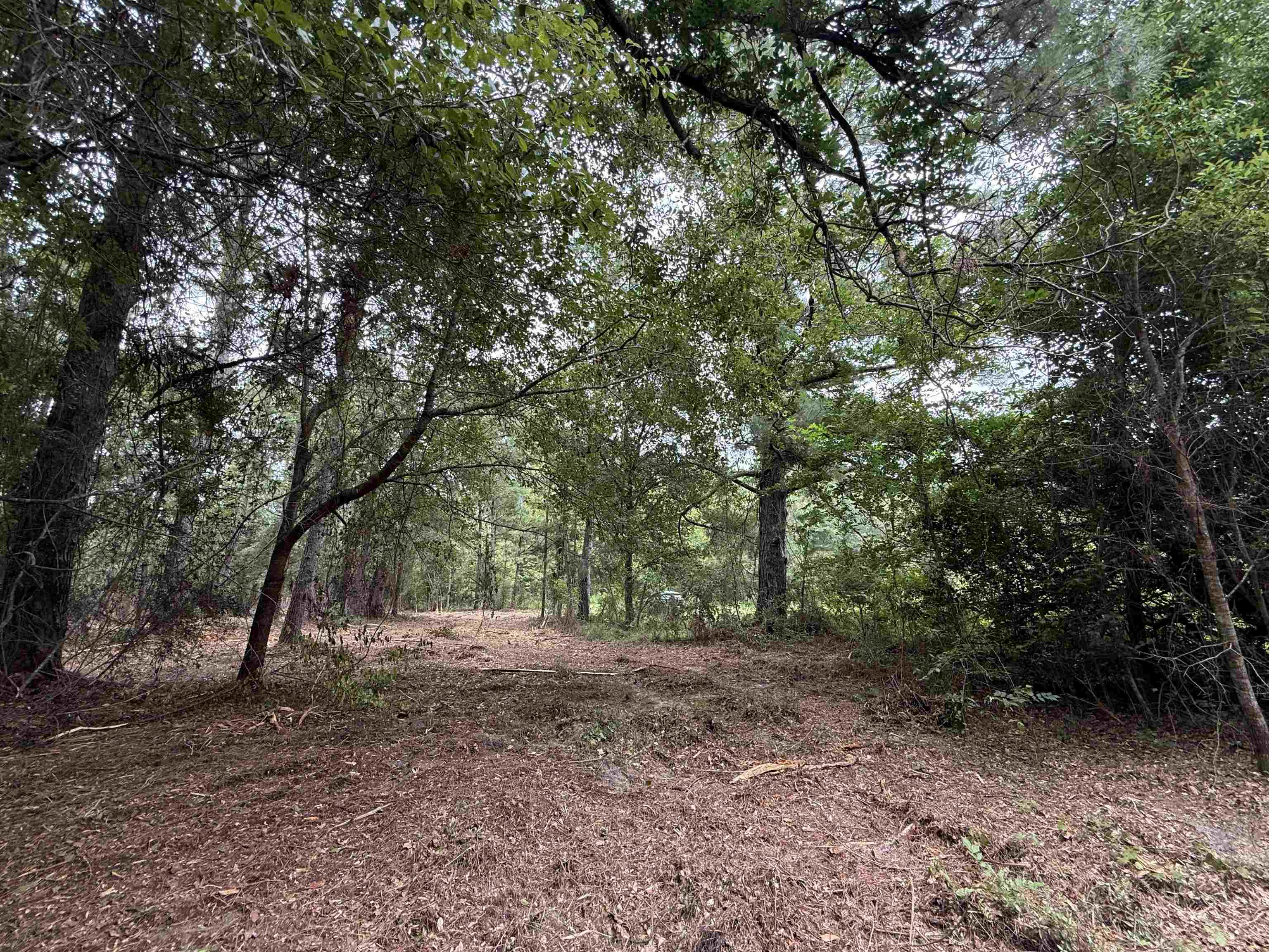 0 East Lake Road Quincy, FL 32351 - Photo 5 of 12