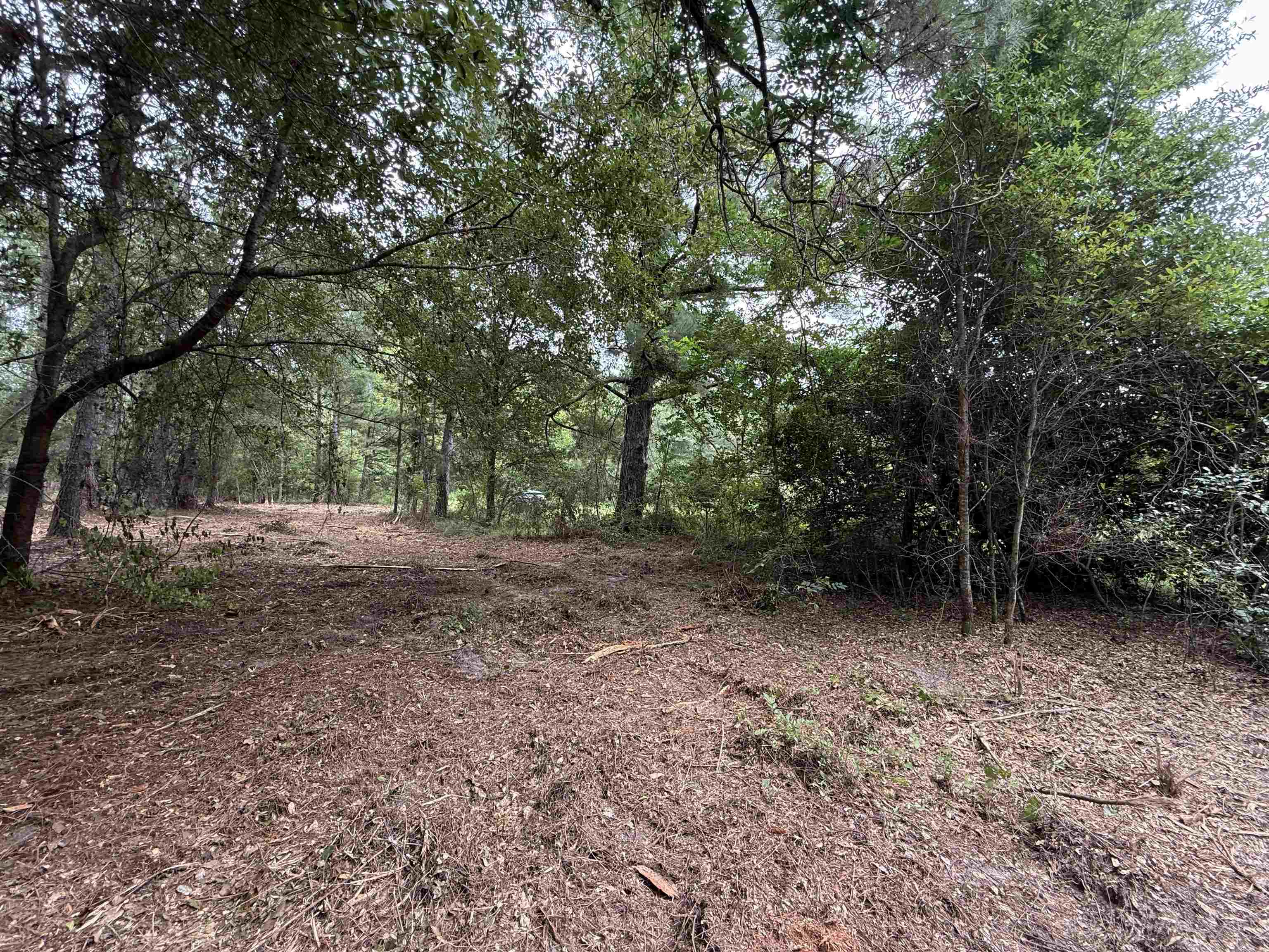 0 East Lake Road Quincy, FL 32351 - Photo 6 of 12