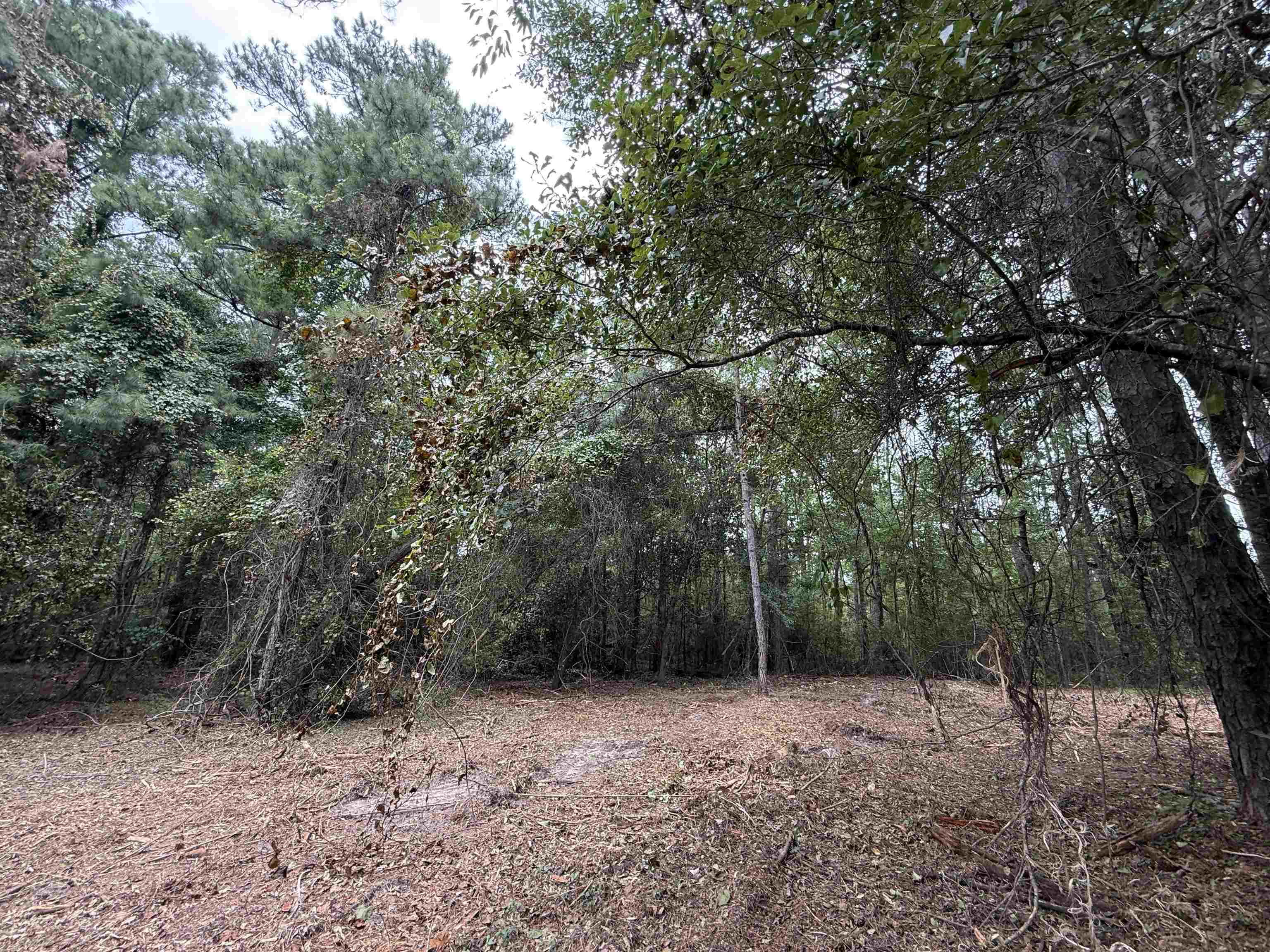 0 East Lake Road Quincy, FL 32351 - Photo 7 of 12