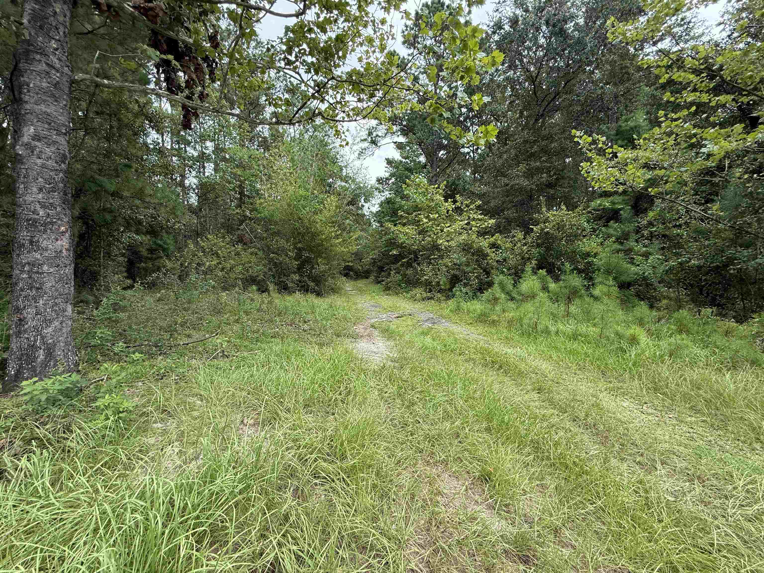 0 East Lake Road Quincy, FL 32351 - Photo 8 of 12