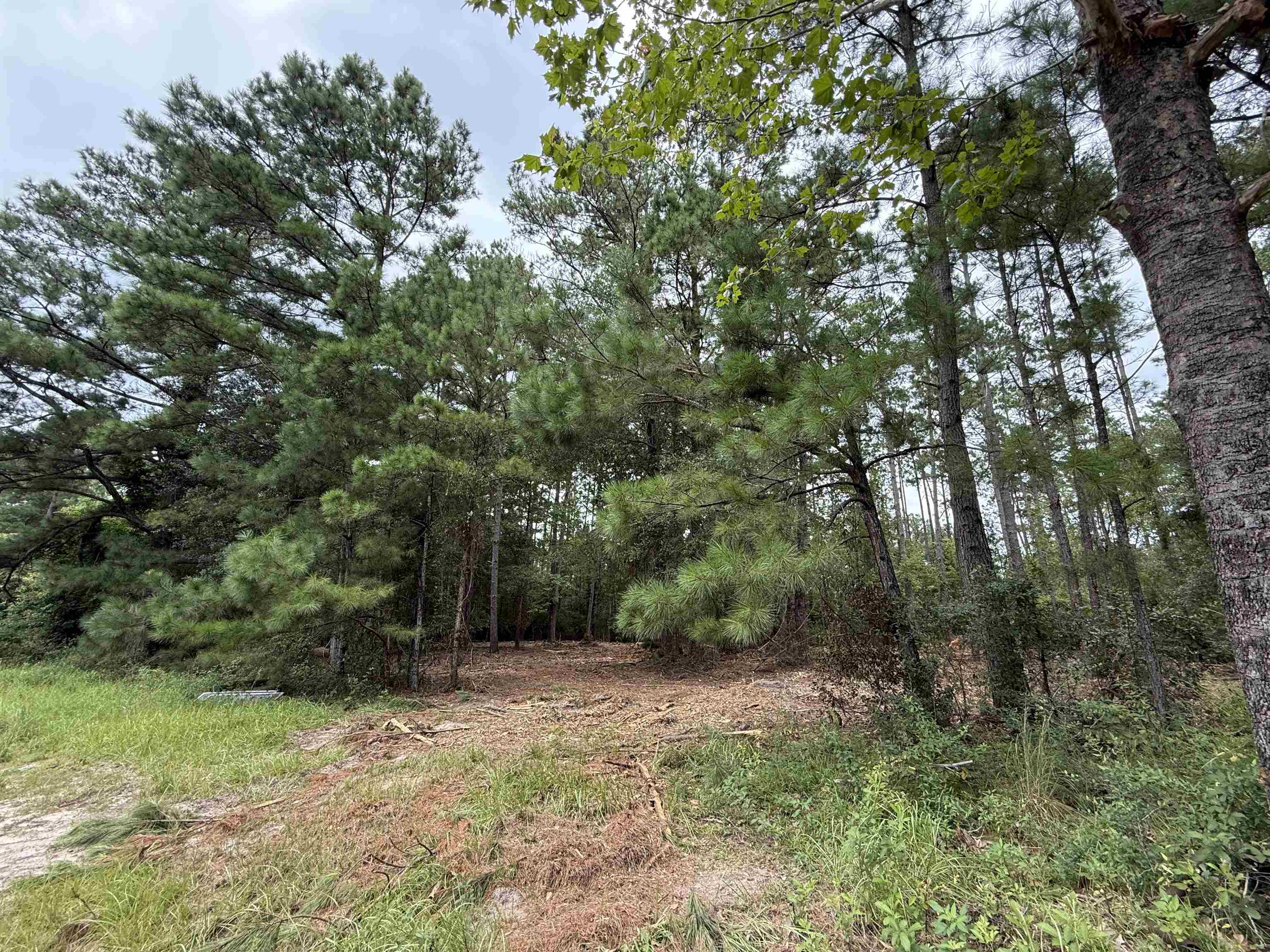 0 East Lake Road Quincy, FL 32351 - Photo 10 of 12