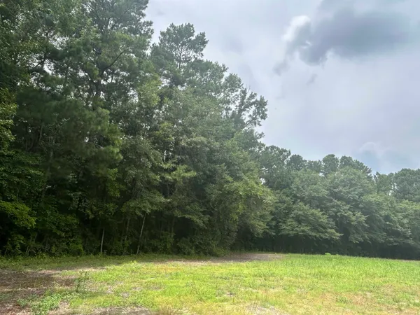 $199,500 | Tbd Johnson Road, Galivants Ferry, SC 29544
