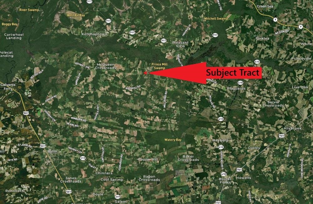 Tbd Johnson Road Galivants Ferry, SC 29544 - Photo 10 of 10