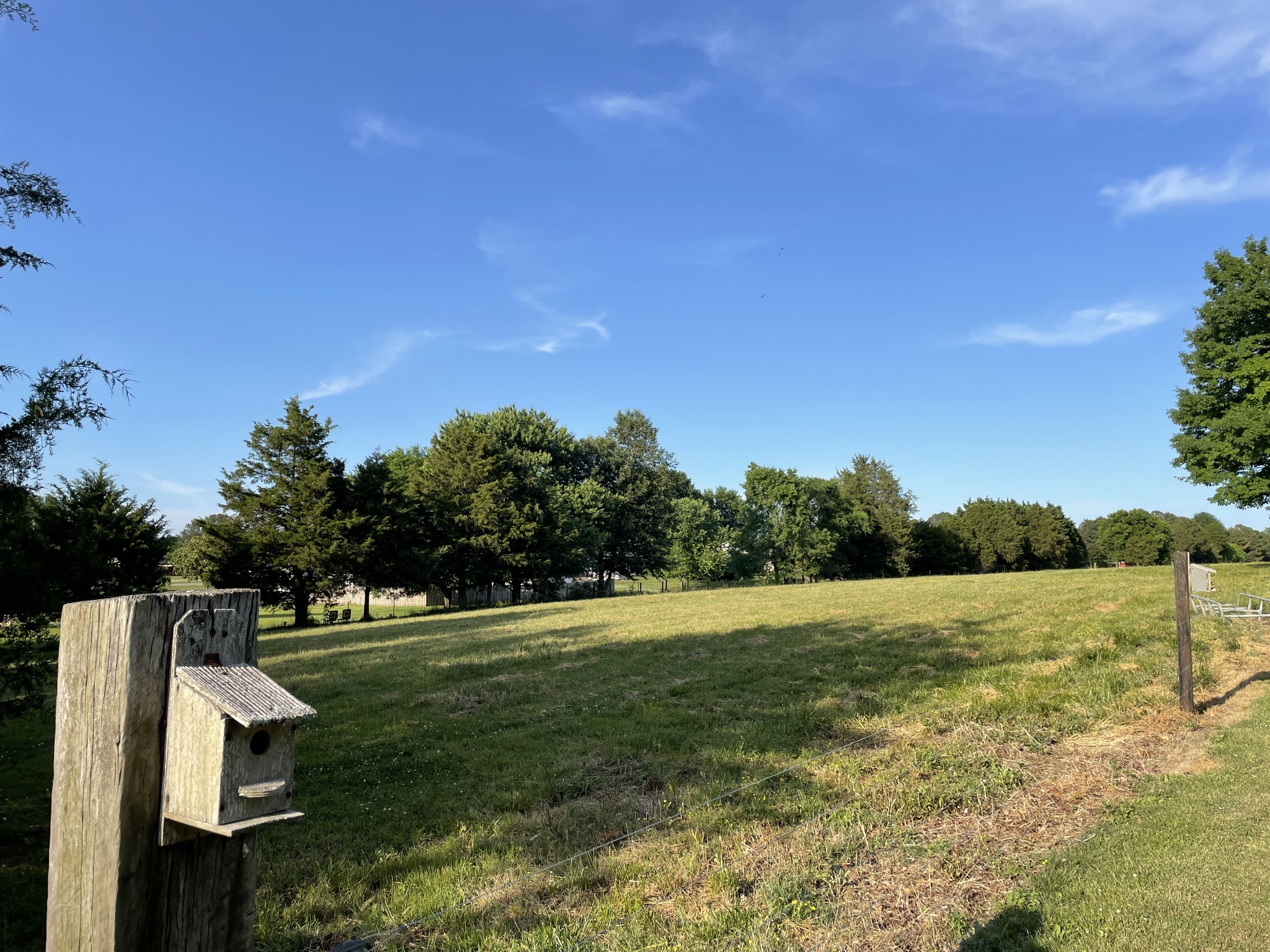 a view of grassy field with trees