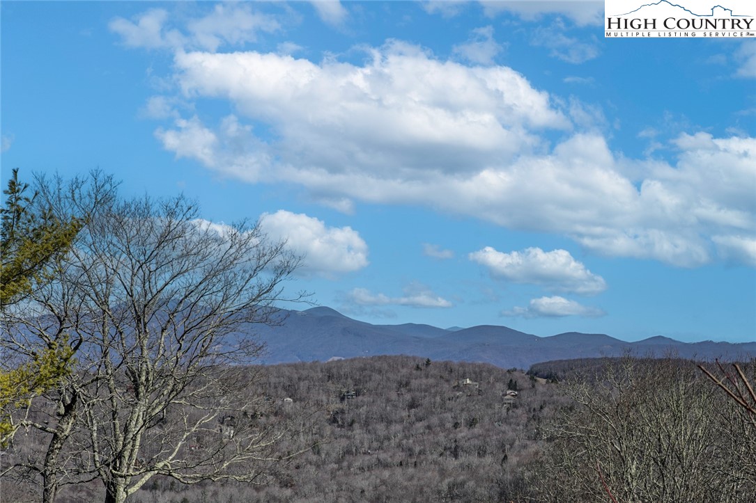 Village Road Beech Mountain, NC 28604 - Photo 1 of 20 Gallery Image 1