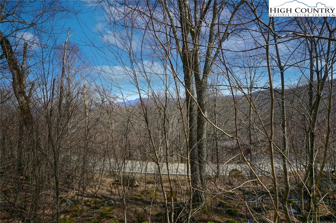 Village Road Beech Mountain, NC 28604 - Photo 11 of 20 Gallery Image 11