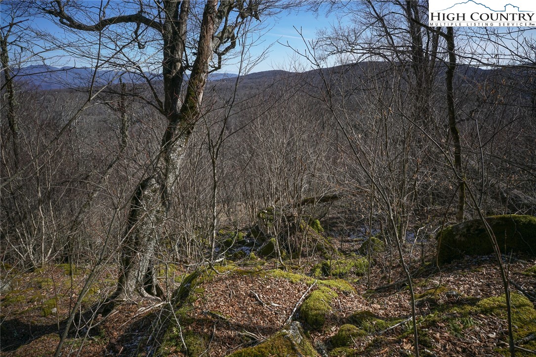 Village Road Beech Mountain, NC 28604 - Photo 12 of 20 Gallery Image 12