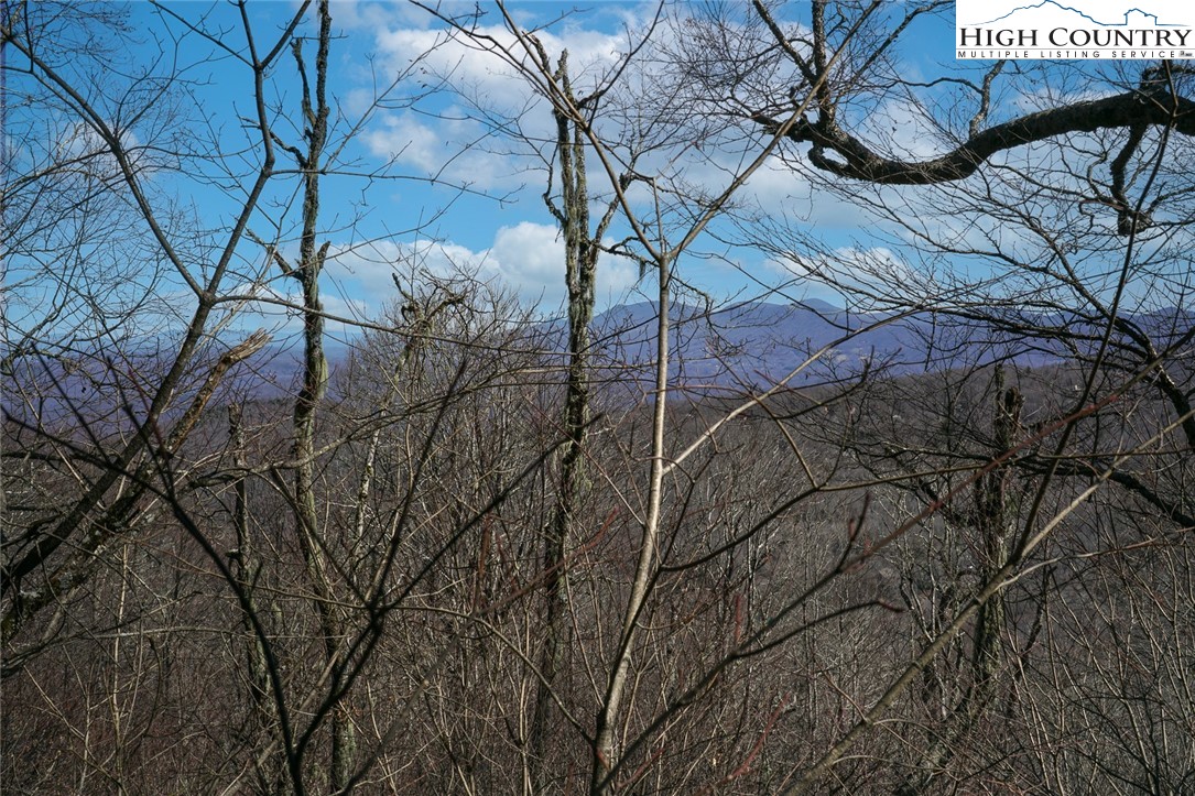 Village Road Beech Mountain, NC 28604 - Photo 13 of 20 Gallery Image 13