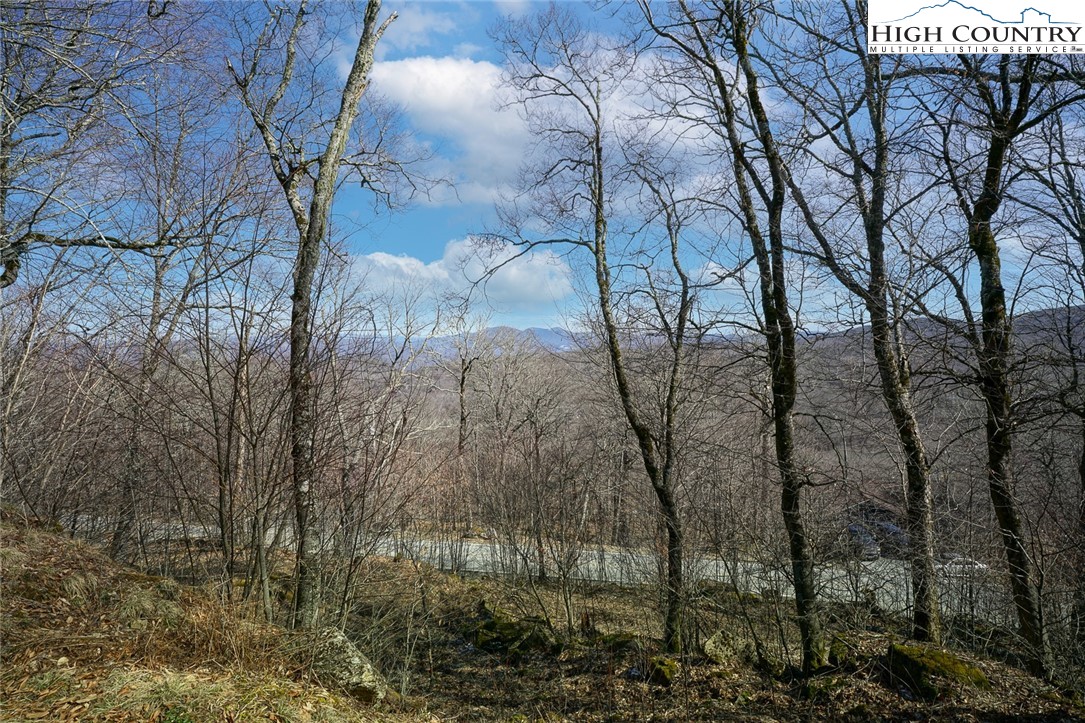 Village Road Beech Mountain, NC 28604 - Photo 14 of 20 Gallery Image 14