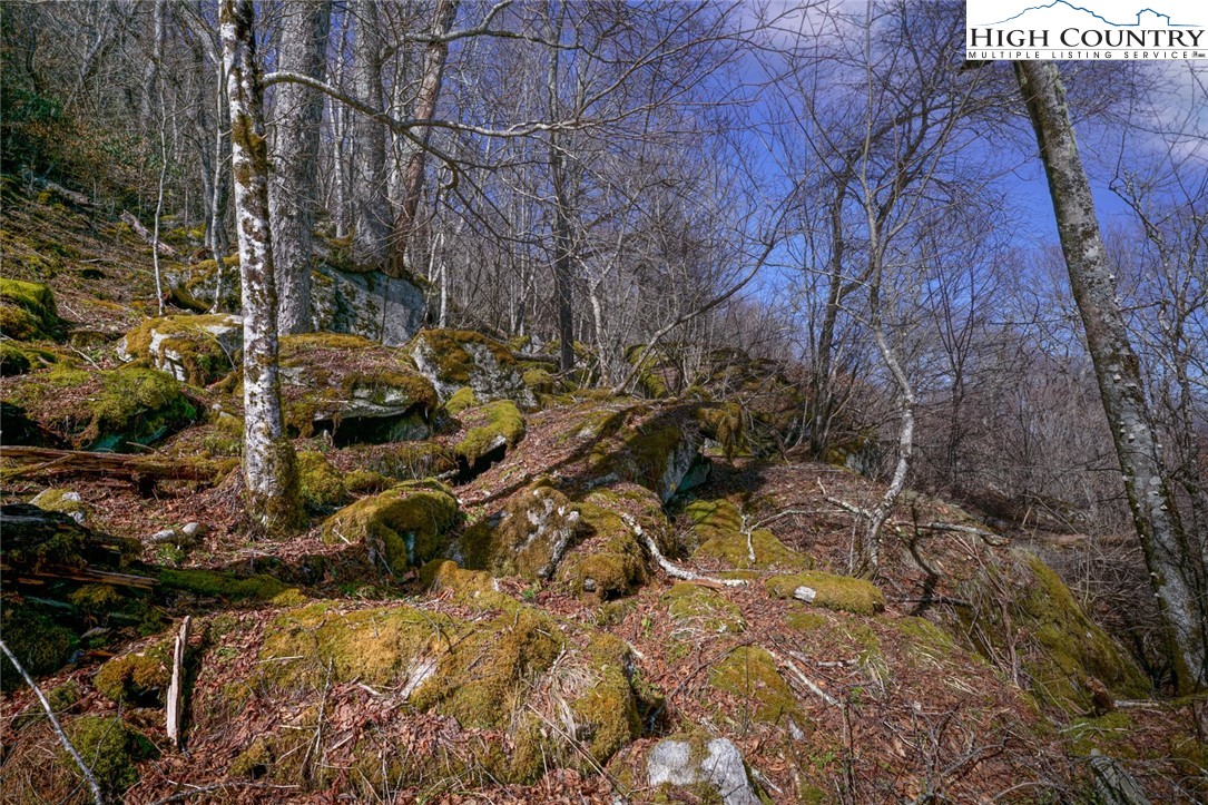 Village Road Beech Mountain, NC 28604 - Photo 15 of 20 Gallery Image 15